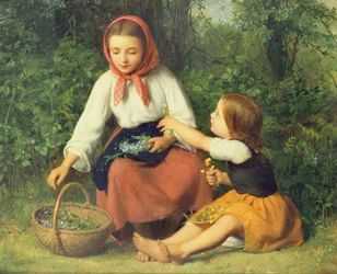 Wildblumen